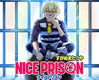 NICE PRISON